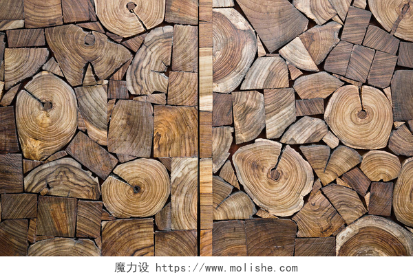 木树桩木纹背景 柚木木材树桩背景
